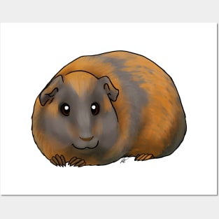 Small Mammal - American Guinea Pig - Brindle Posters and Art